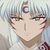 Sesshomaru sama 