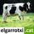 elgarrotxi.cat 