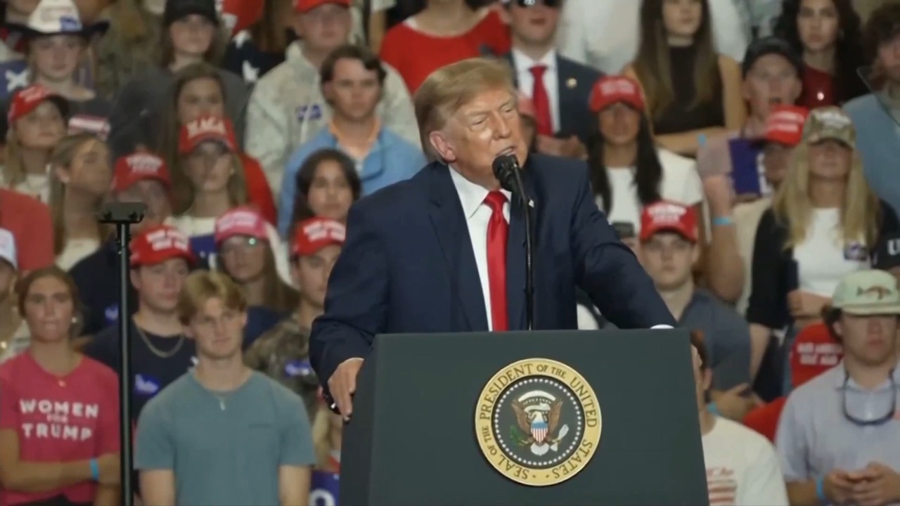 Trump hails supporter who punched protester at rally: 'He got whacked!'