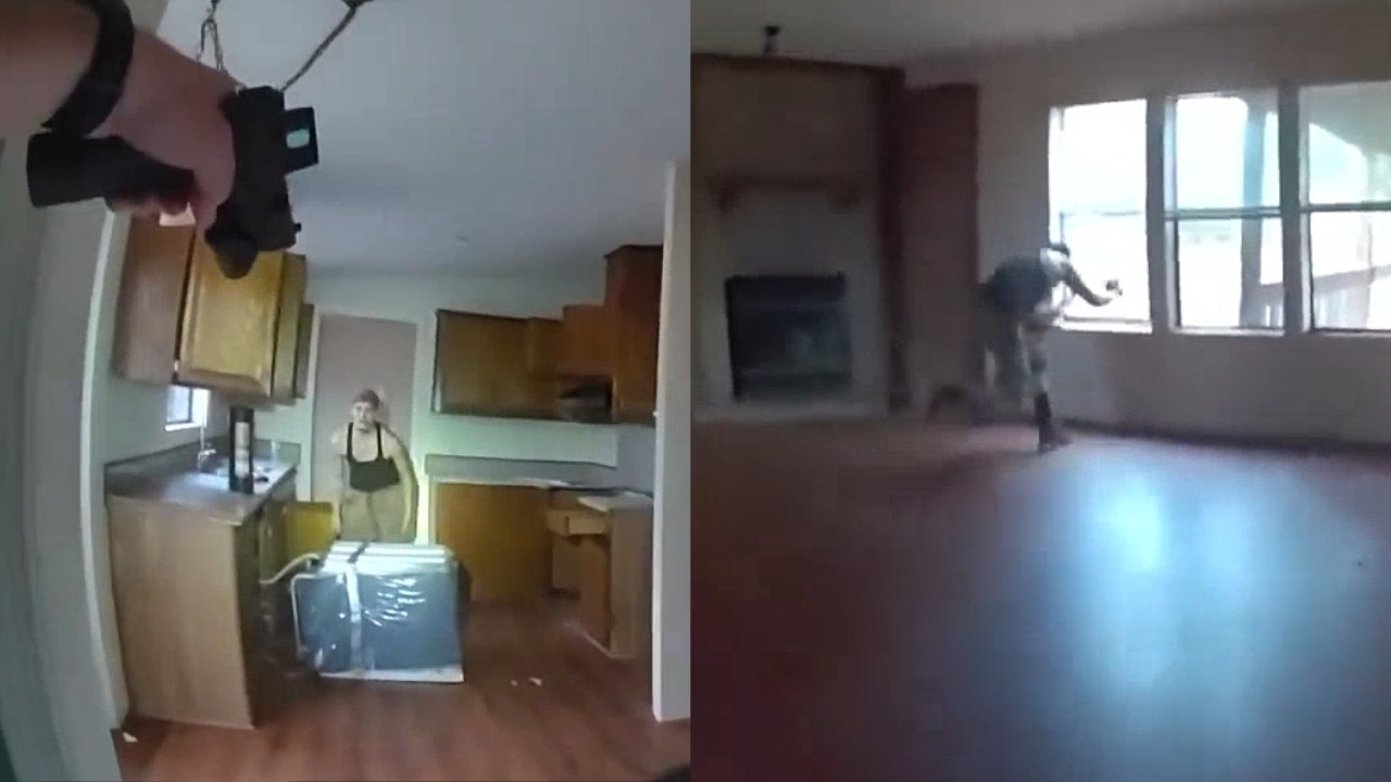 ‘Copper thief’ dives head-first through window to escape police